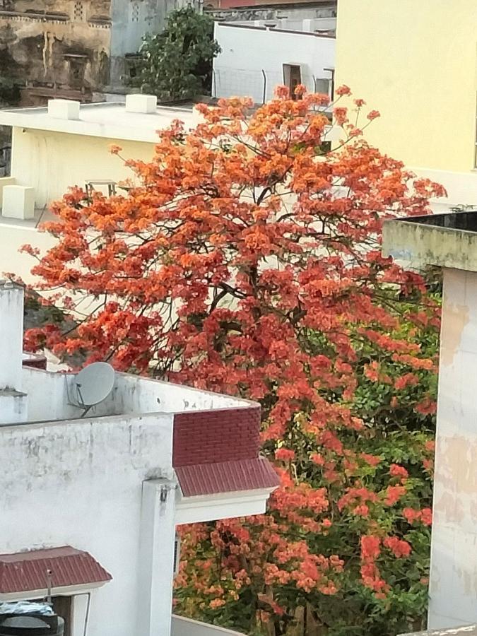 Purple Lotus Hotel Varanasi Bagian luar foto